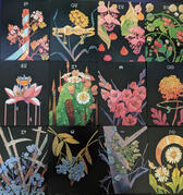 Botanica Tarot